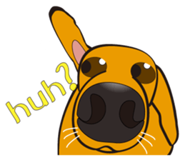 big nose dog pote 3 sticker #5621360