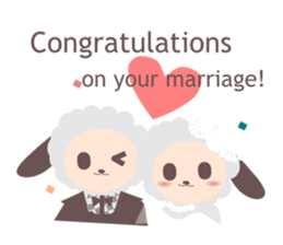 [Checkle Sheep-n]Stickers for Gift sticker #5621661