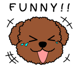 Mogu and Marco of toy poodles2 (English) sticker #5623927