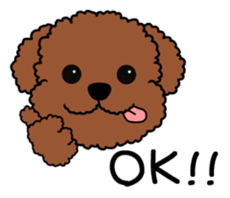 Mogu and Marco of toy poodles2 (English) sticker #5623932