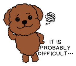 Mogu and Marco of toy poodles2 (English) sticker #5623933