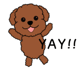 Mogu and Marco of toy poodles2 (English) sticker #5623941