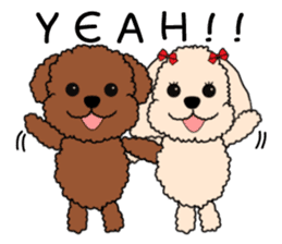 Mogu and Marco of toy poodles2 (English) sticker #5623948