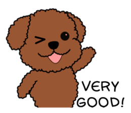 Mogu and Marco of toy poodles2 (English) sticker #5623957