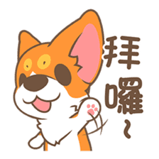 Corgi Pon Pon(Chinese) sticker #5626417