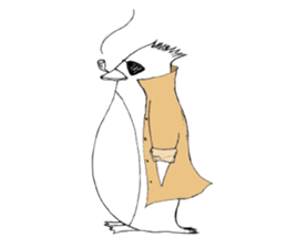 Mr.Cool Penguin, MARCO sticker #5627324