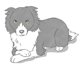 Live with Border Collie sticker #5628365