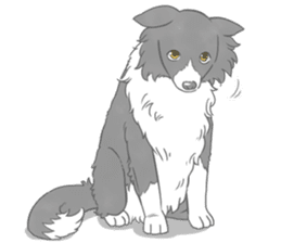 Live with Border Collie sticker #5628366