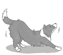 Live with Border Collie sticker #5628369