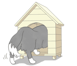 Live with Border Collie sticker #5628373