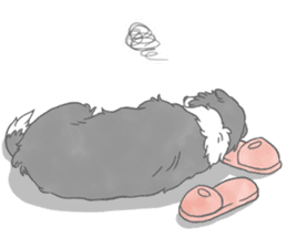 Live with Border Collie sticker #5628375
