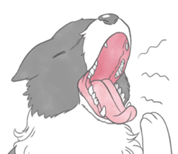 Live with Border Collie sticker #5628376