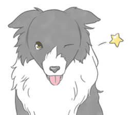 Live with Border Collie sticker #5628377