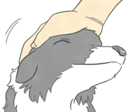 Live with Border Collie sticker #5628378