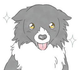 Live with Border Collie sticker #5628379