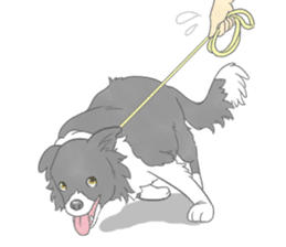 Live with Border Collie sticker #5628380