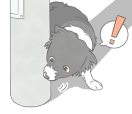 Live with Border Collie sticker #5628381