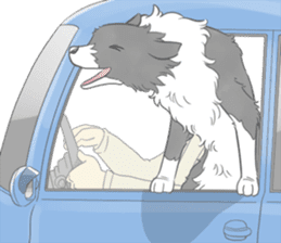 Live with Border Collie sticker #5628382
