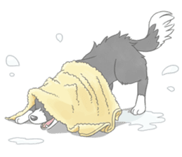Live with Border Collie sticker #5628385