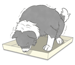 Live with Border Collie sticker #5628386