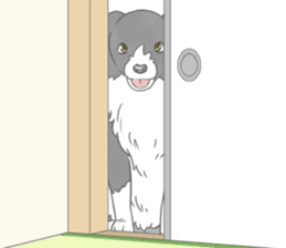 Live with Border Collie sticker #5628387