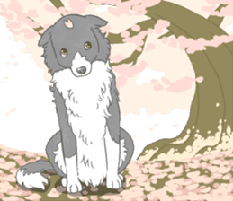 Live with Border Collie sticker #5628388