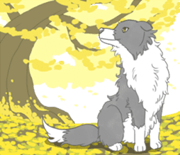 Live with Border Collie sticker #5628390