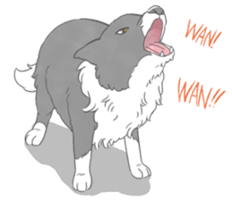 Live with Border Collie sticker #5628392