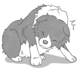 Live with Border Collie sticker #5628393