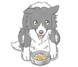 Live with Border Collie sticker #5628396