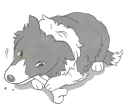 Live with Border Collie sticker #5628397