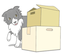 Live with Border Collie sticker #5628400