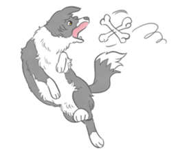 Live with Border Collie sticker #5628401