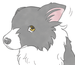 Live with Border Collie sticker #5628402