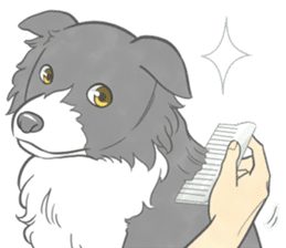 Live with Border Collie sticker #5628403