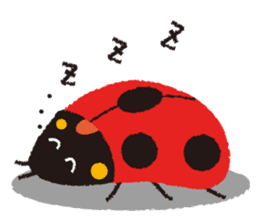 Samba of the ladybug-English.ver sticker #5632093