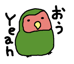 Momiji(parakeet) sticker #5632606