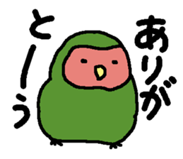 Momiji(parakeet) sticker #5632609