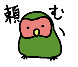 Momiji(parakeet) sticker #5632613