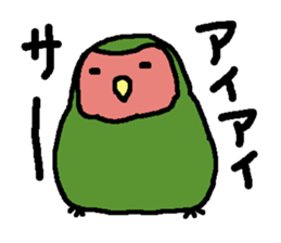Momiji(parakeet) sticker #5632614