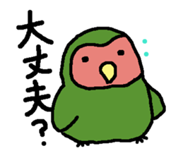 Momiji(parakeet) sticker #5632616