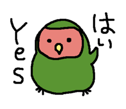 Momiji(parakeet) sticker #5632617