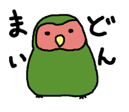 Momiji(parakeet) sticker #5632619