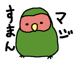 Momiji(parakeet) sticker #5632620