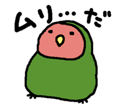 Momiji(parakeet) sticker #5632622
