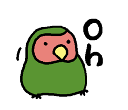 Momiji(parakeet) sticker #5632625