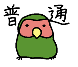 Momiji(parakeet) sticker #5632630