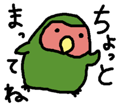 Momiji(parakeet) sticker #5632631