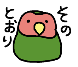 Momiji(parakeet) sticker #5632633
