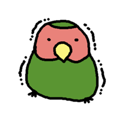 Momiji(parakeet) sticker #5632642
